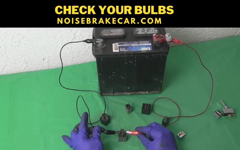 Check your Bulbs