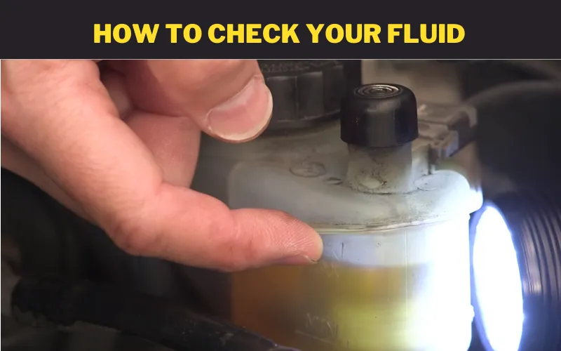 How to check your Fluid