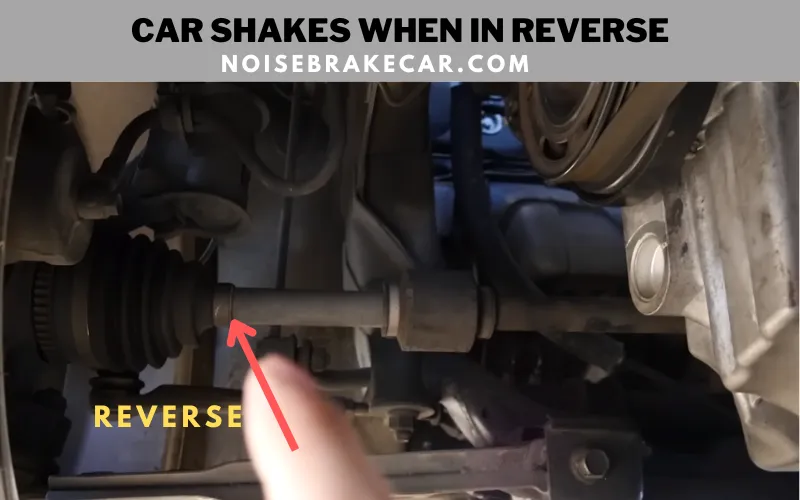 Why does your Car Shakes When in Reverse? (Complete guide)