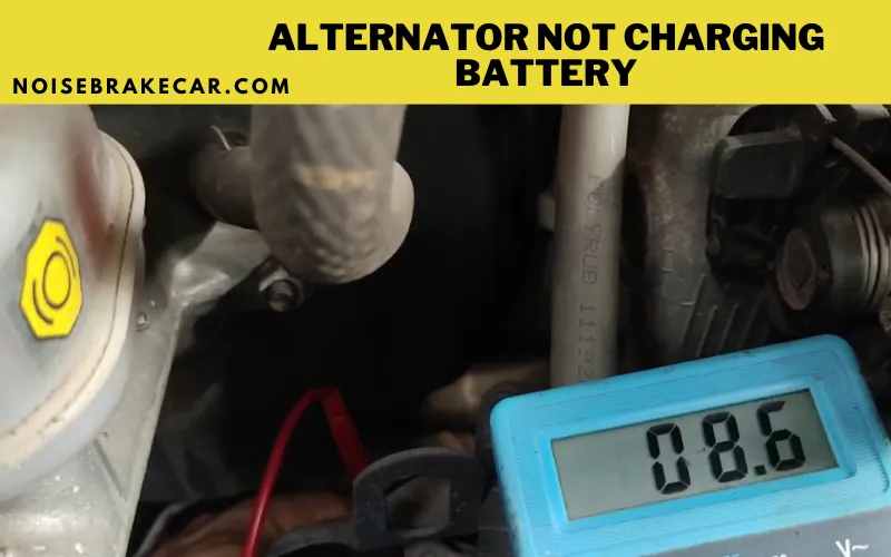 Your Car Alternator Not Charging battery